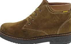Camel Active