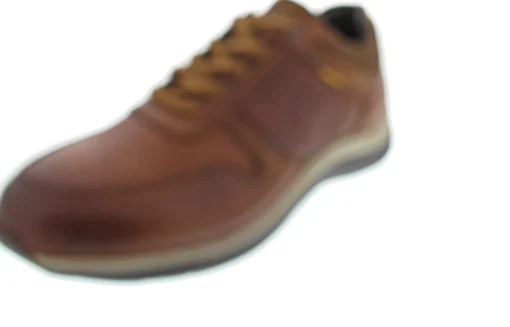 Camel Active