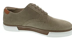 Camel Active Bayland