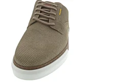 Camel Active Bayland