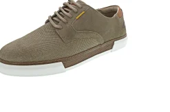 Camel Active Bayland