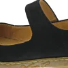 El Naturalista Coral