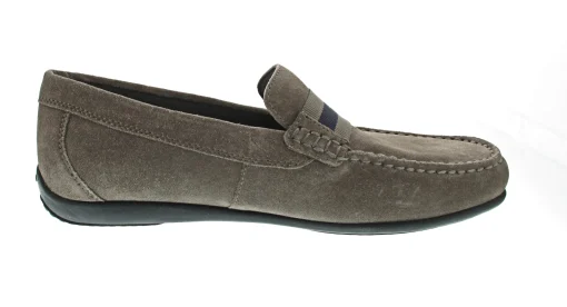 Geox Ascanio