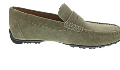 Geox Kosmopolis