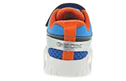 Geox Wroom B