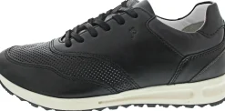 Josef Seibel Thaddeus 10