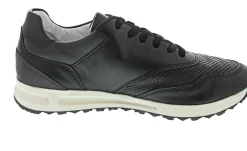 Josef Seibel Thaddeus 10