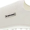 Leguano scio