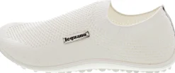 Leguano scio