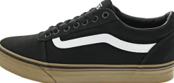 Vans MN Ward