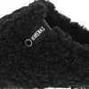 Verbenas York Curly