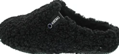 Verbenas York Curly