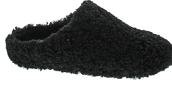 Verbenas York Curly