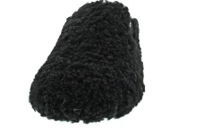 Verbenas York Curly